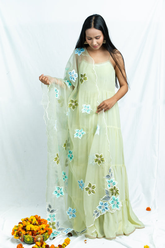 Pastel Elegance: Pista Green Anarkali with Dupatta