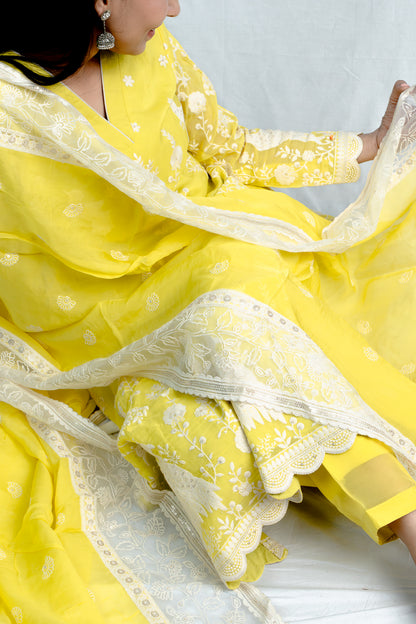 Neon Glow: Fully Embroidered Neon Yellow Pure Organza Suit